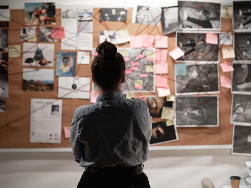 Female detective looking attentively at investigation board, back view. Copy space